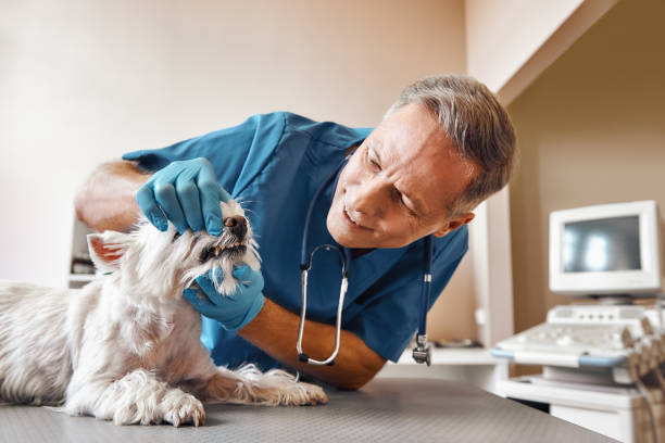 Best Dentist for Tooth Abscess  in Anderson, SC